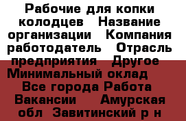 Рабочие для копки колодцев › Название организации ­ Компания-работодатель › Отрасль предприятия ­ Другое › Минимальный оклад ­ 1 - Все города Работа » Вакансии   . Амурская обл.,Завитинский р-н